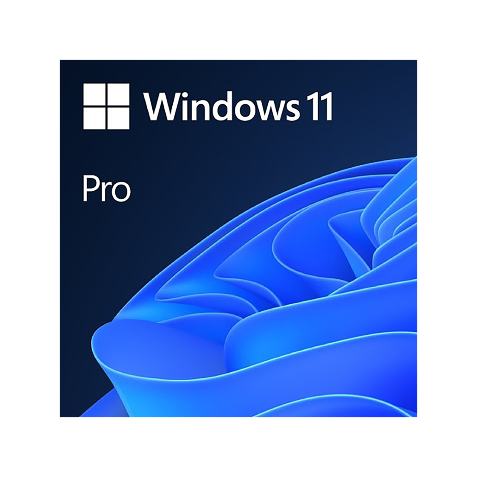 Microsoft Windows 11 Professional Single-User ESD License